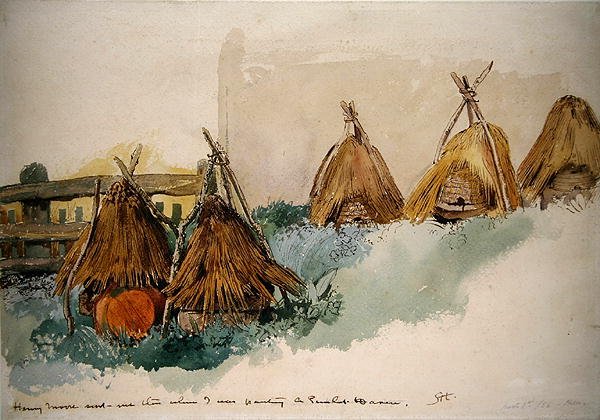 Colméias de Henry Moore