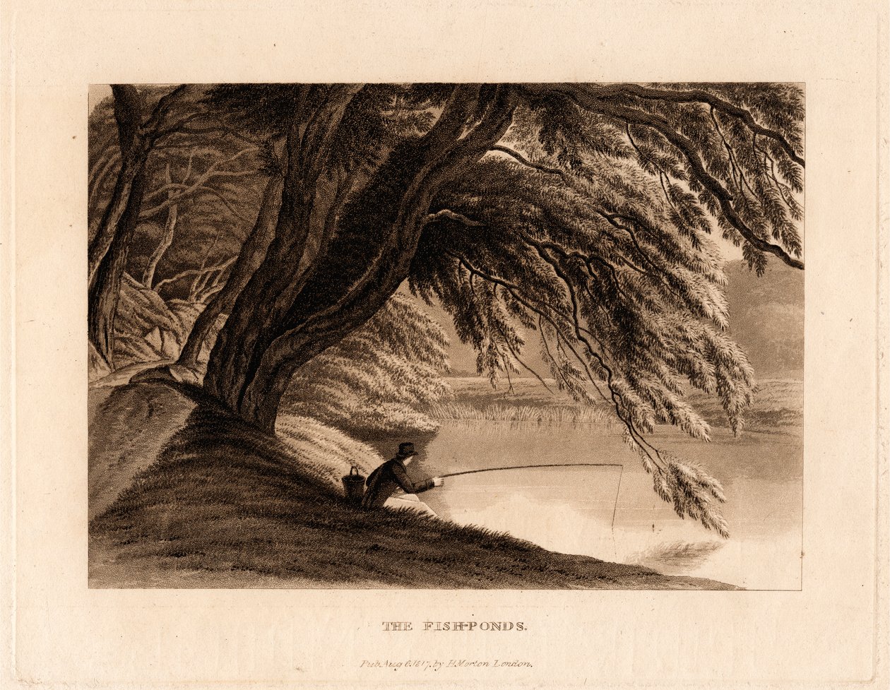 As Lagoas de Peixe de Henry Morton