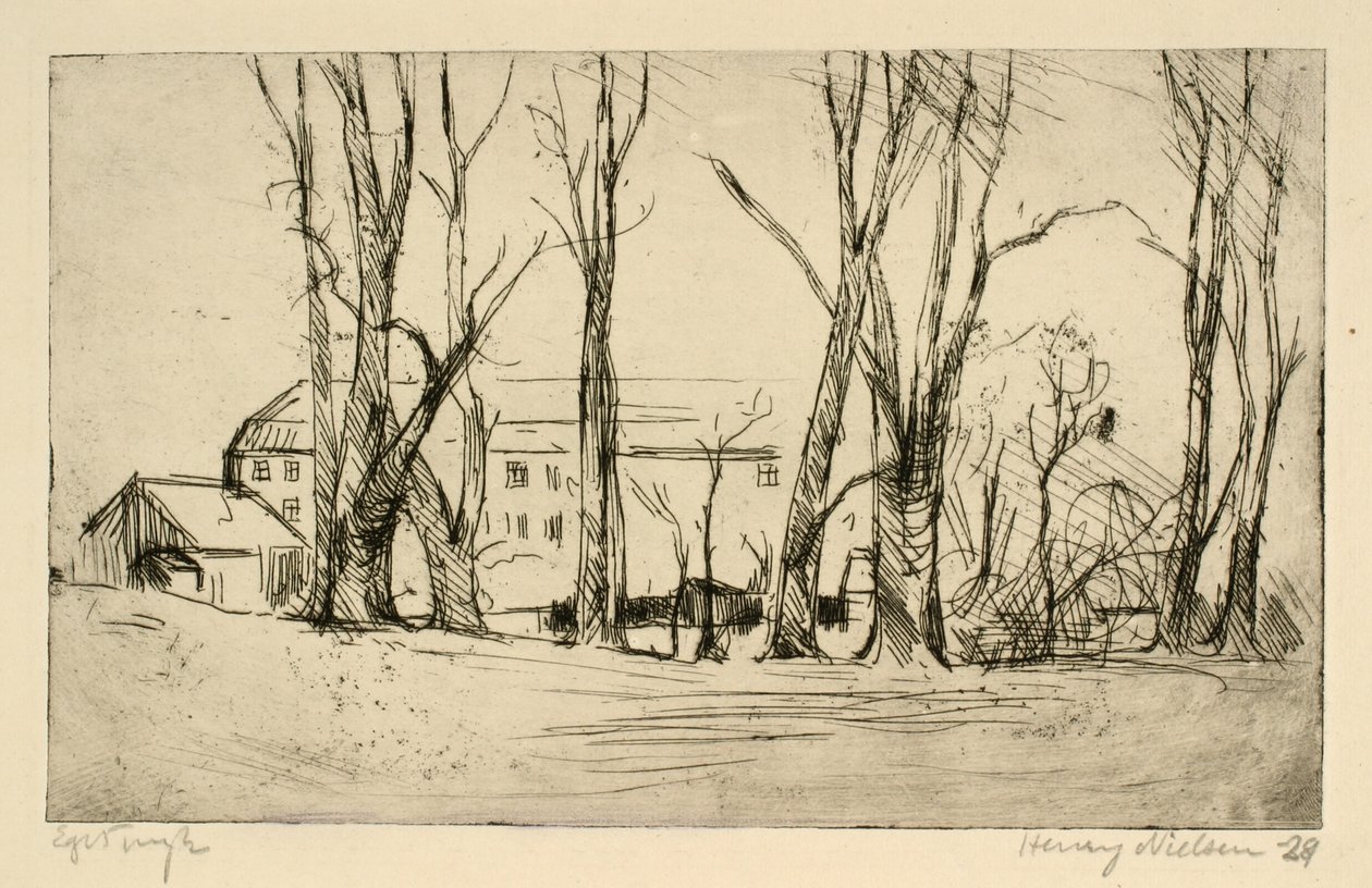 Edifício semelhante a um hospital visto entre grandes árvores de Henry Nielsen