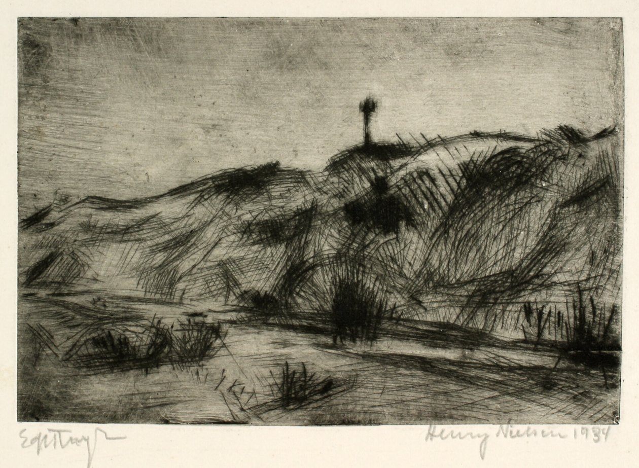 Paisagem de dunas com marca do mar de Henry Nielsen