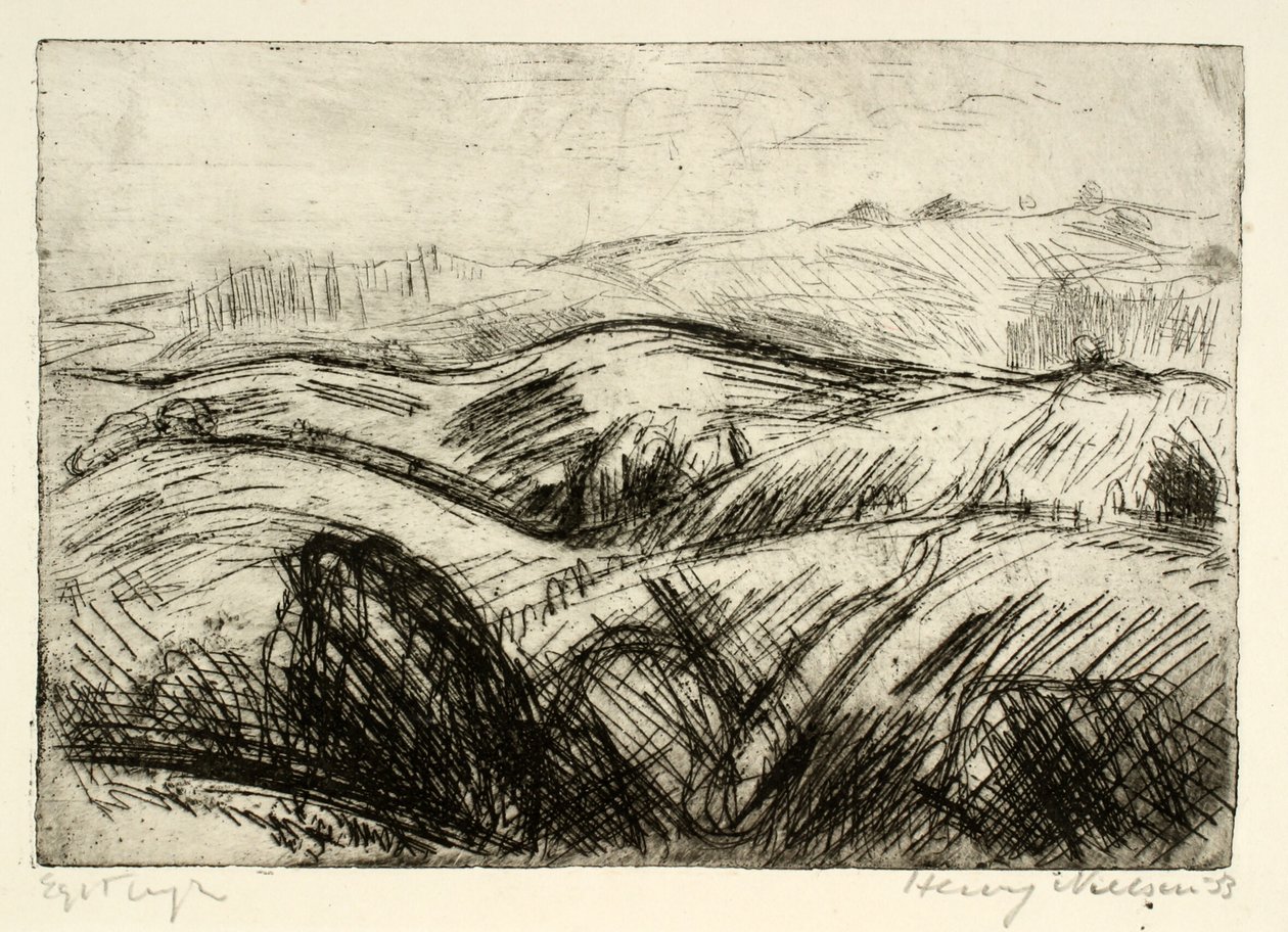 Paisagem fortemente montanhosa de Henry Nielsen