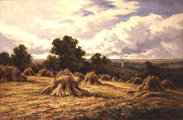 Campo Colhido de Henry Parker