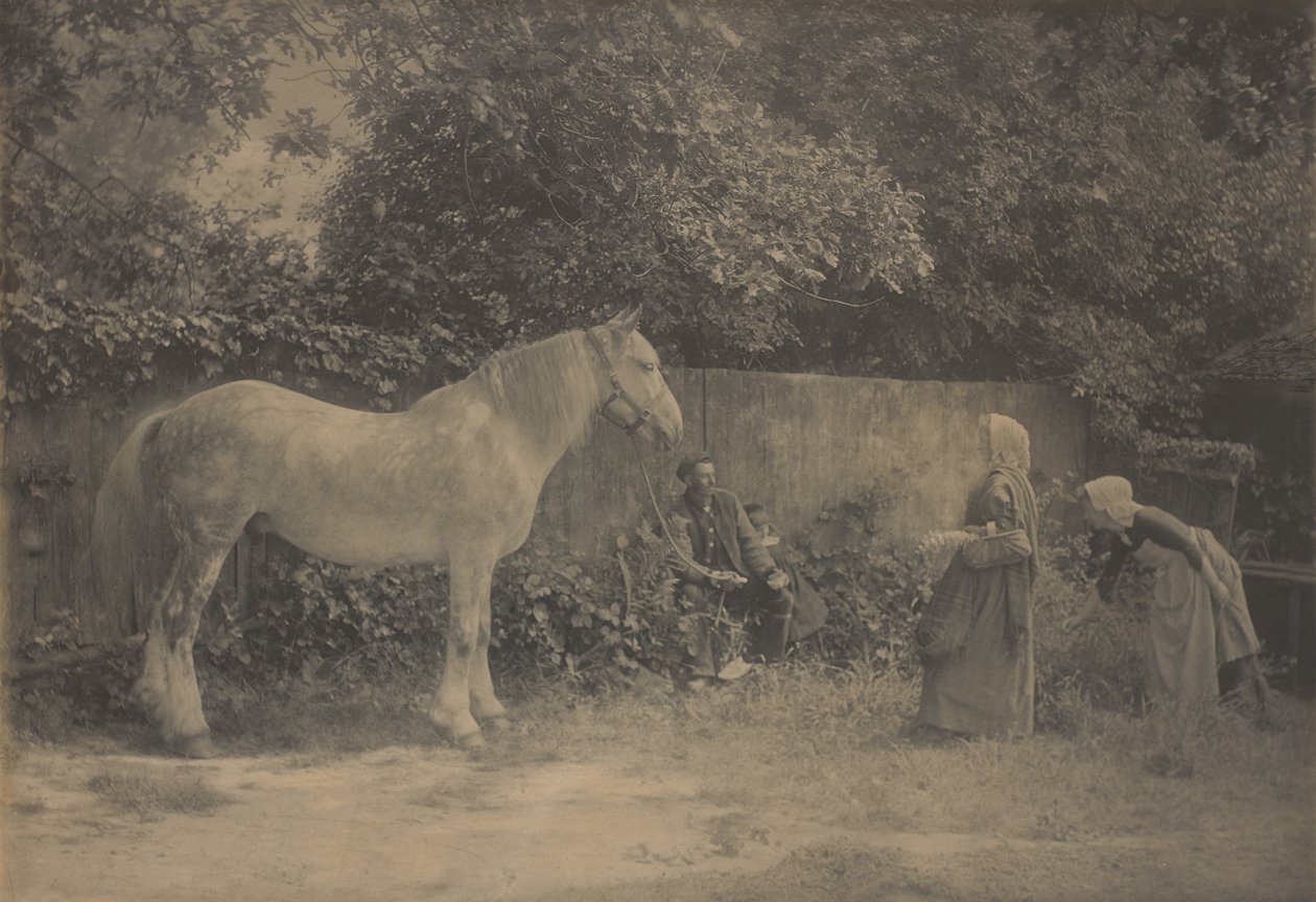 [Old Dapple] de Henry Peach Robinson