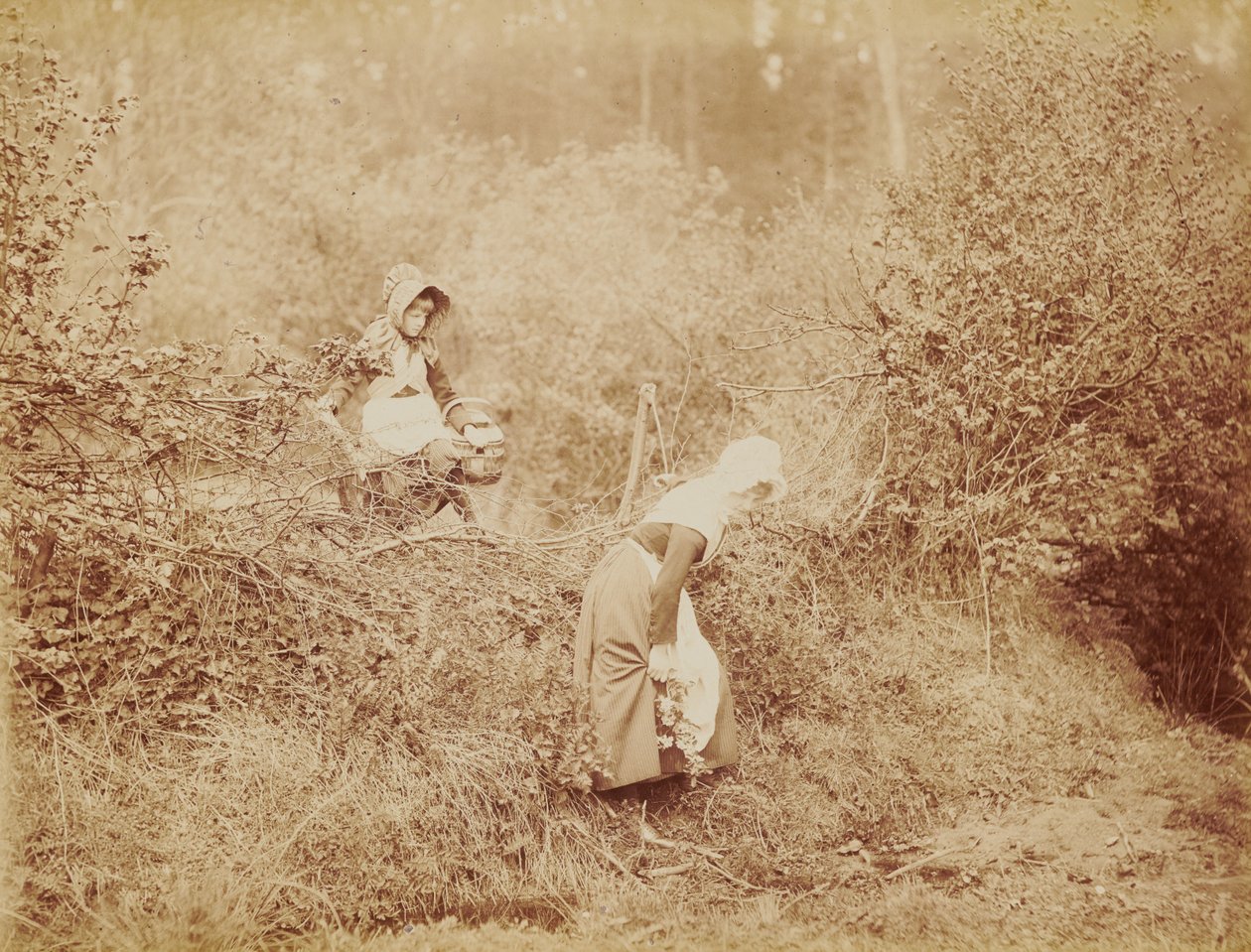 Por cima de sebe e vala de Henry Peach Robinson