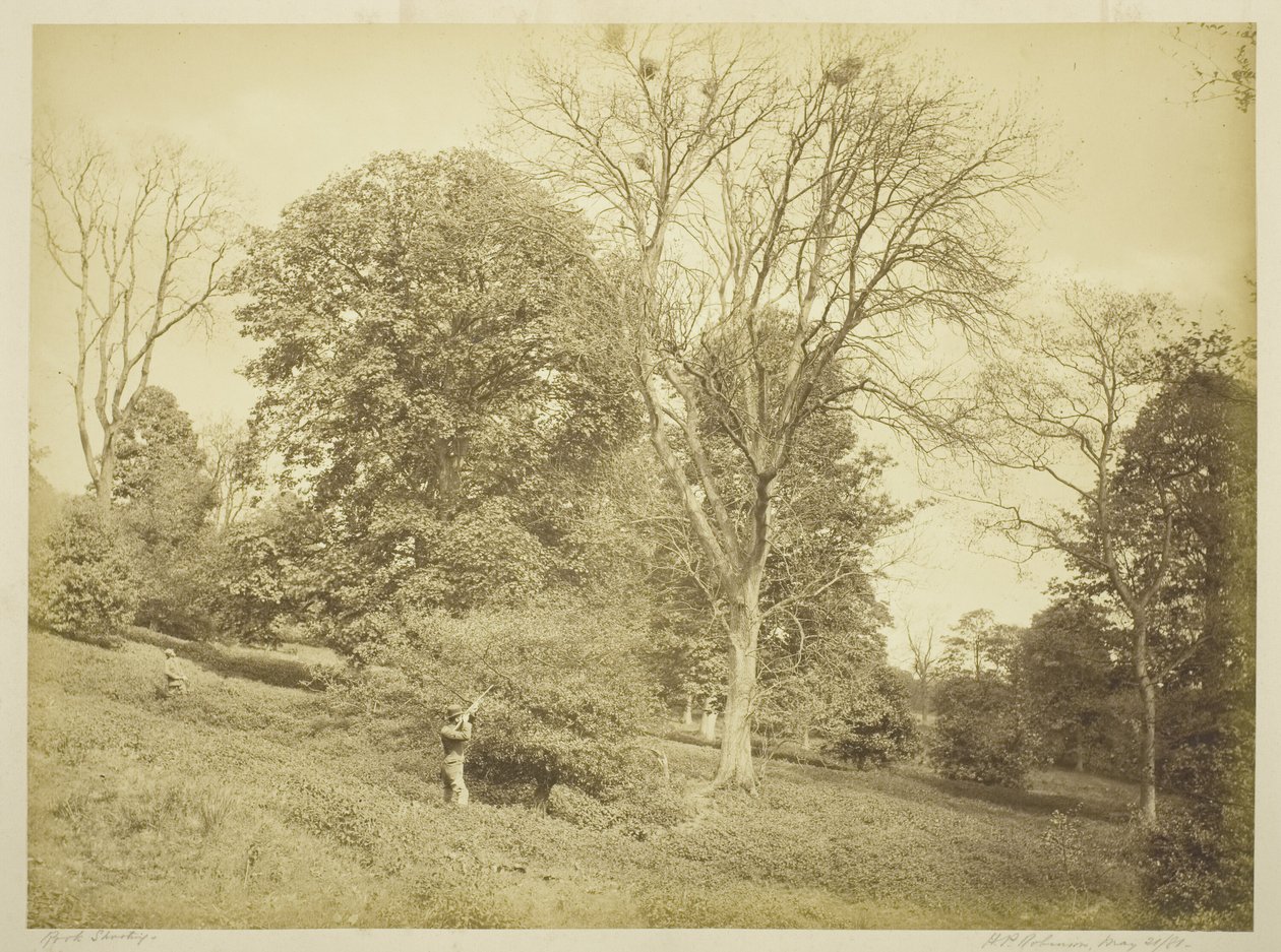 Tiro de Torre de Henry Peach Robinson