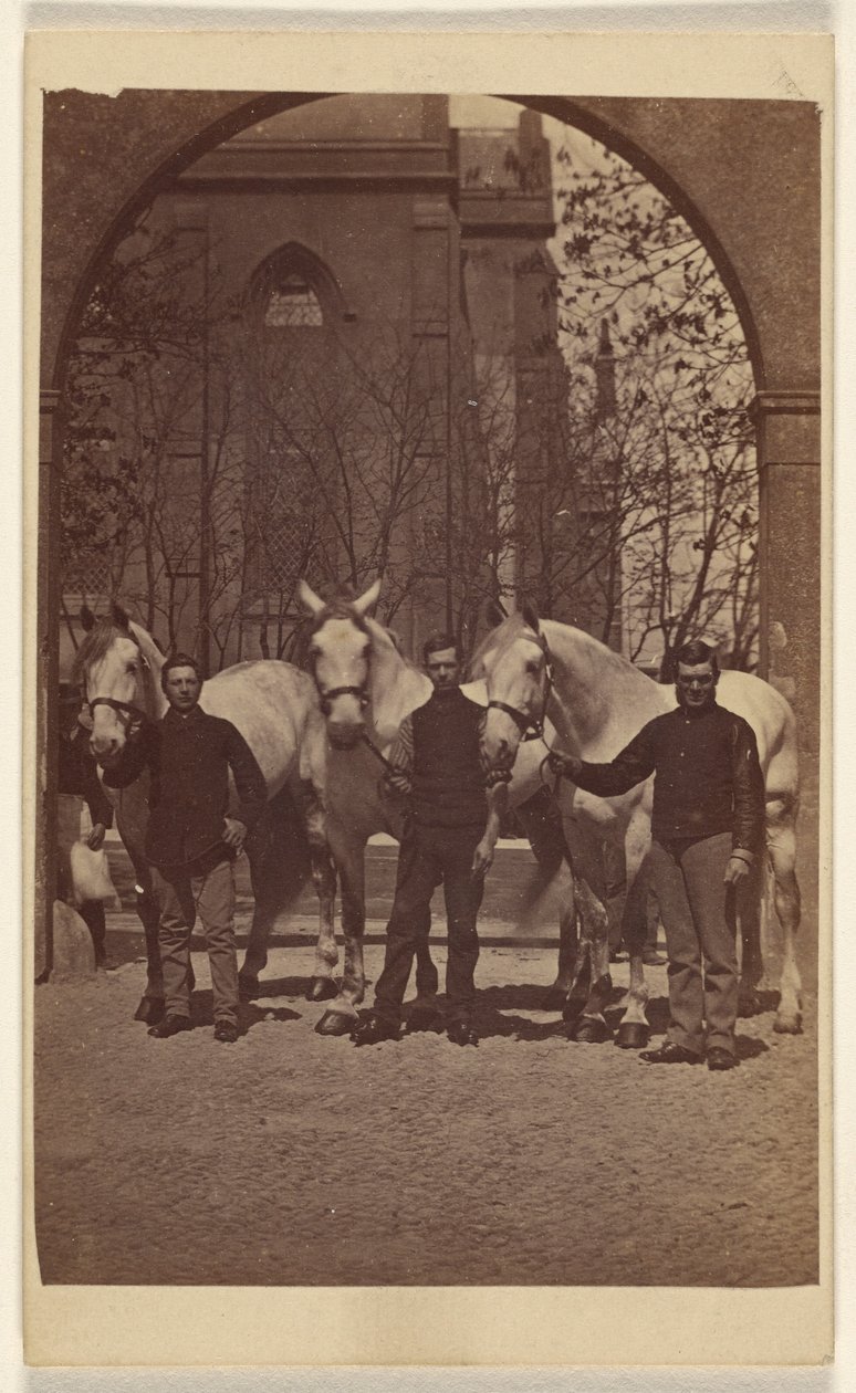 [Três homens posando com três cavalos brancos] de Henry Pointer