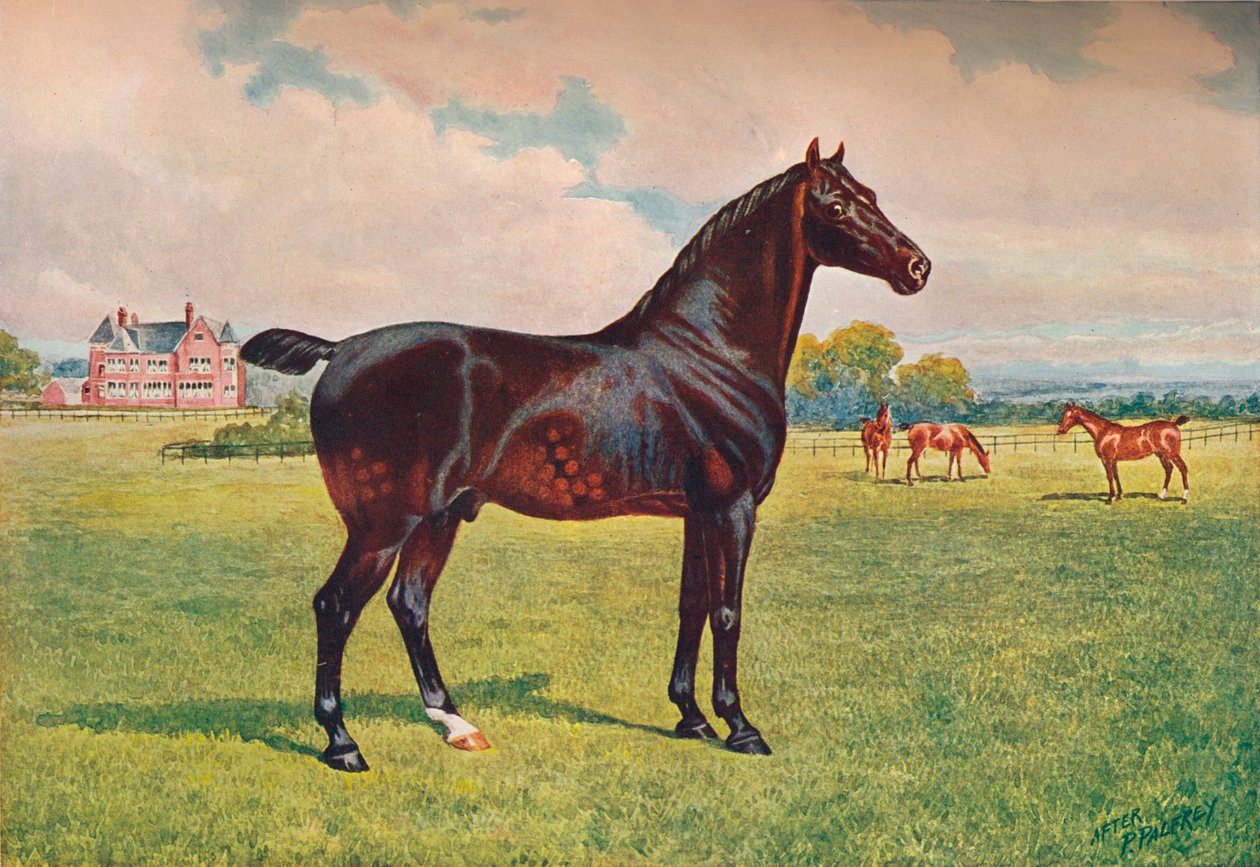 Modelo de Berkeley do garanhão Hackney Pony, c1900 c1910 de Henry Powell Palfrey