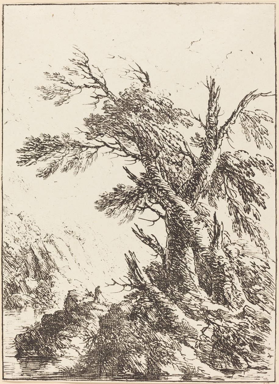 Paisagem com árvores antigas por água de Henry Richard Greville, 3rd earl of Warwick