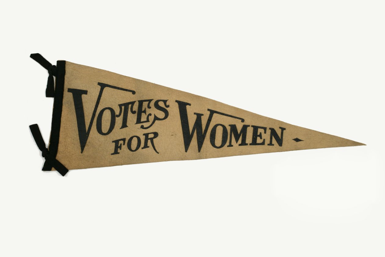 Votos para as mulheres Pennant da campanha de Henry Schwartz