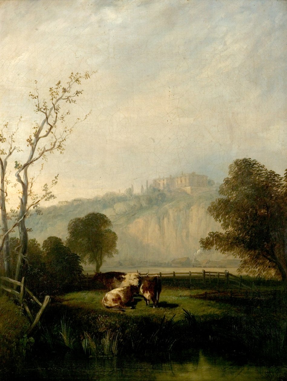 Nottingham Meadows, 1847 de Henry Smyth