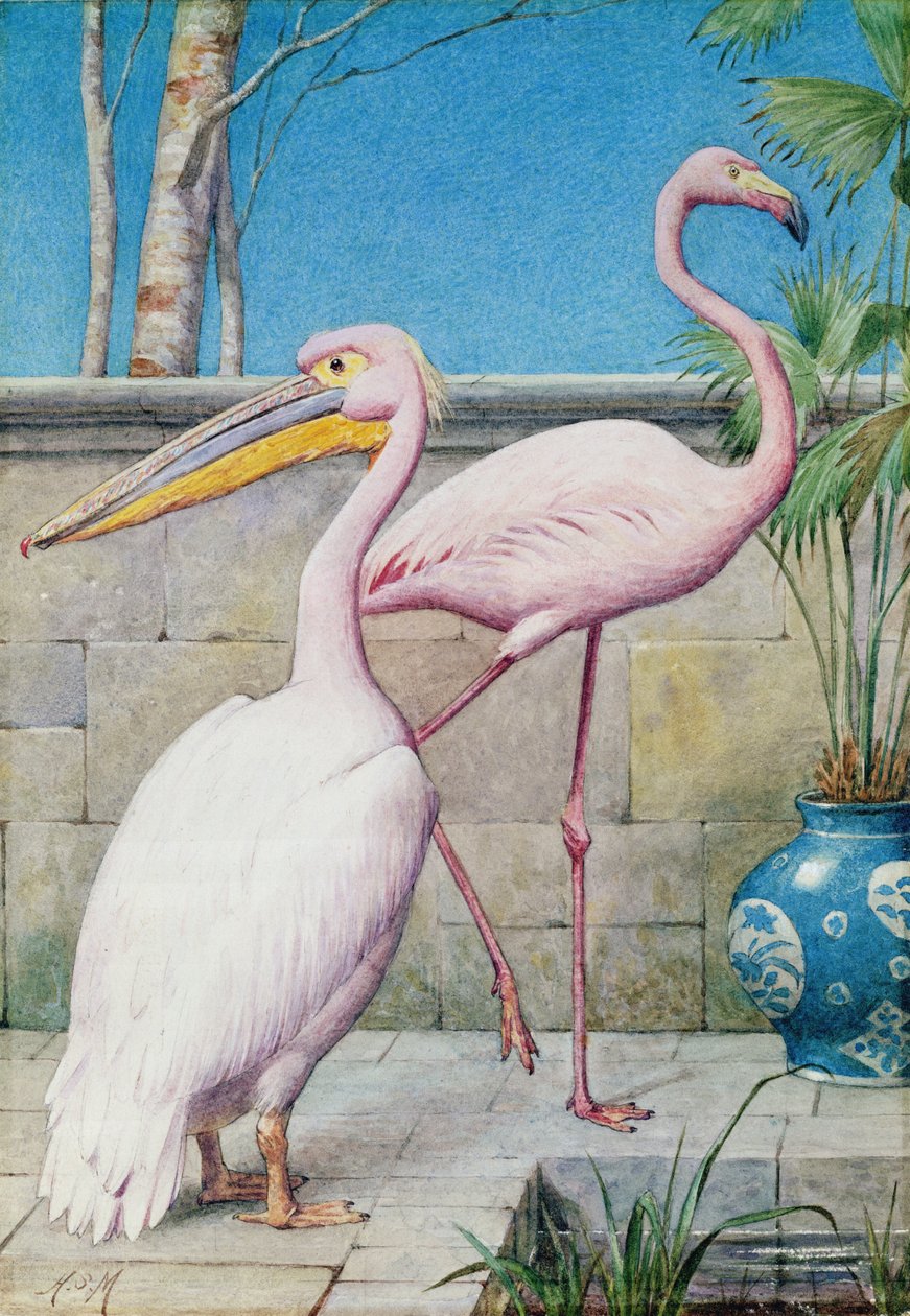 Pelicano e Flamingo (wc) de Henry Stacey Marks