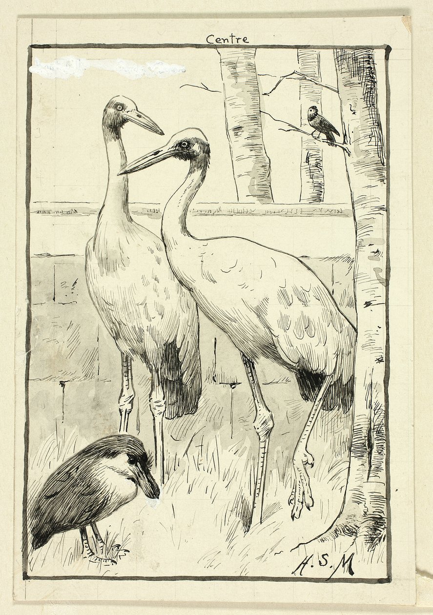 Quatro aves na paisagem de Henry Stacy Marks