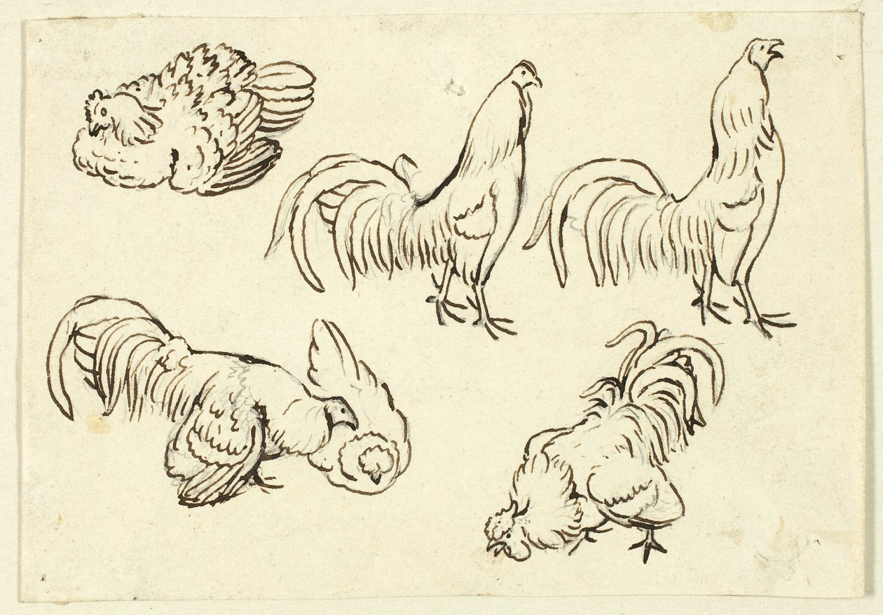Esboços de aves de capoeira de Henry Stacy Marks