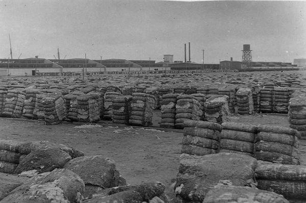 Moody Compress, Galveston (foto a p/b) de Henry Stark