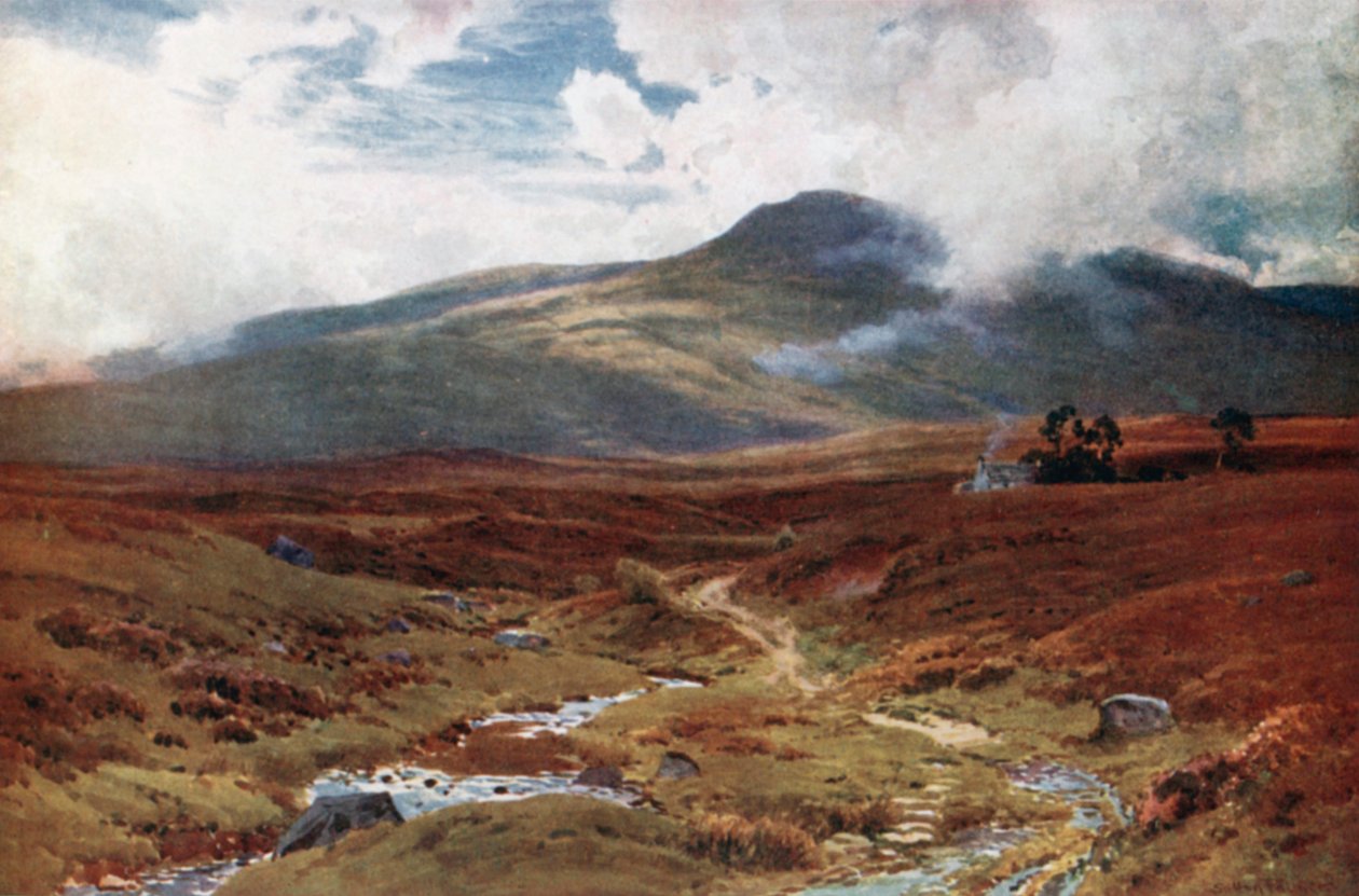 Uma charneca perto de Killin, Perthshire (litografia a cores) de Henry Sutton Palmer