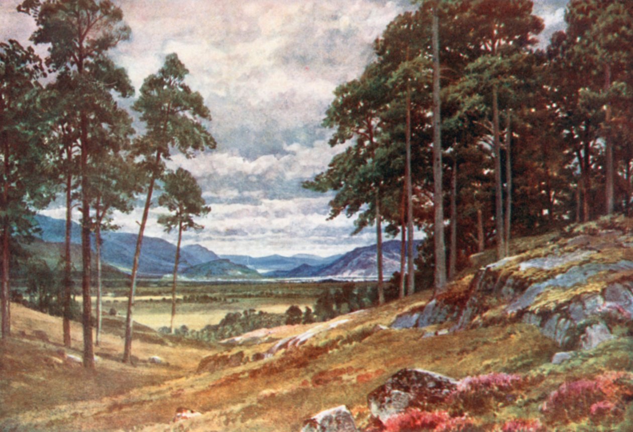  de Henry Sutton Palmer
