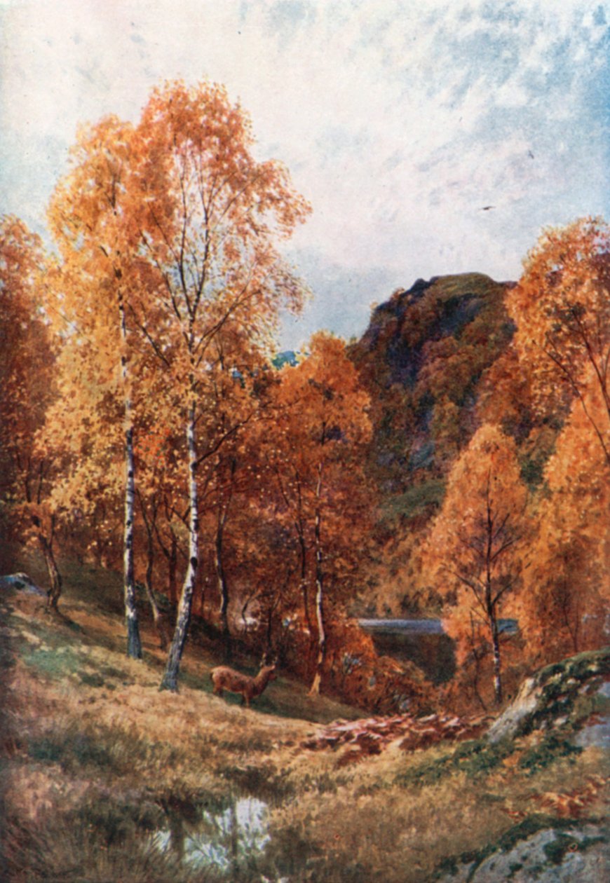 outono dourado, Trossachs, Perthshire (litografia a cores) de Henry Sutton Palmer