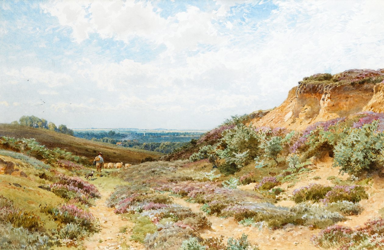 Heather em um Surrey Heath (wc no papel) de Henry Sutton Palmer