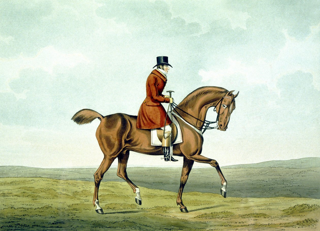 Um Meltoniano, como ele era, de "Os Meltonianos", gravado por George Hunt. de Henry Thomas (after) Alken