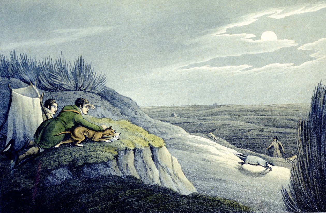 Badger Catching from the National Sports of Great Britain, gravada por J.H. Clarke de Henry Thomas (after) Alken