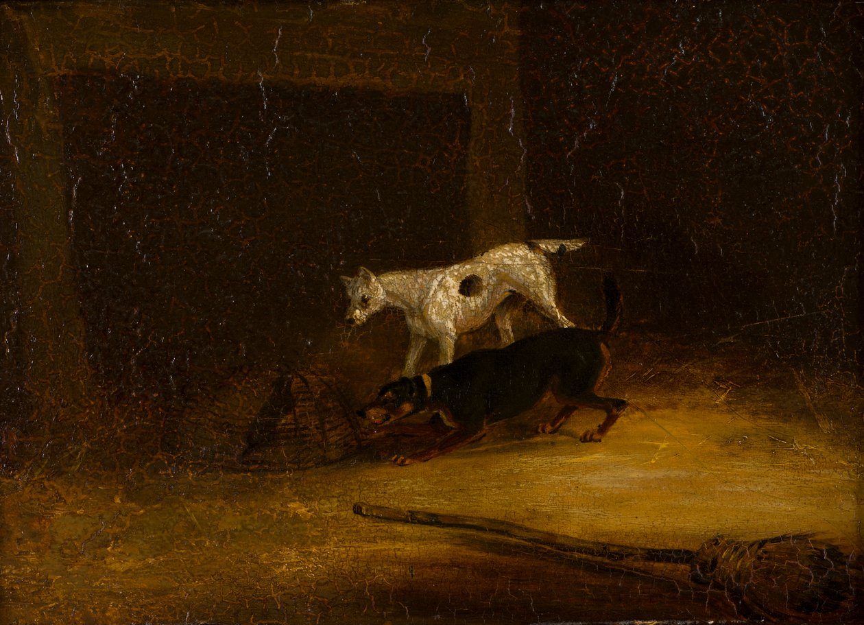Dois Terriers tentando pegar um Rat in a Trap, c.1805-51 (óleo no painel) de Henry Thomas (follower of) Alken