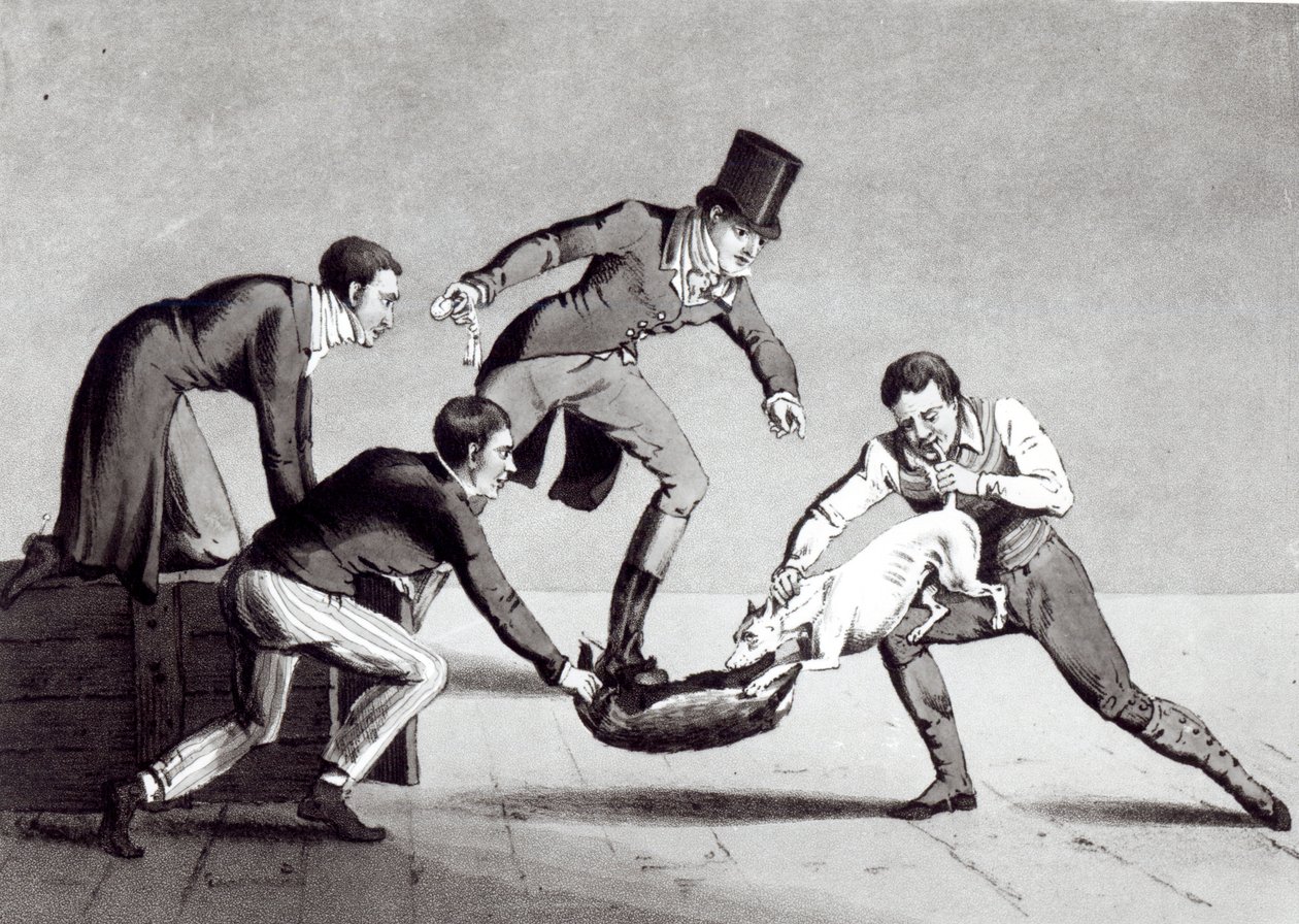 Tirando o texugo, 1820 de Henry Thomas Alken