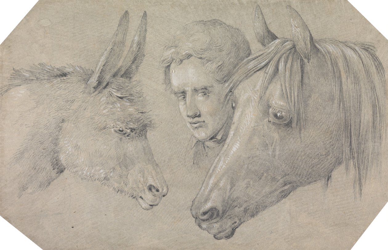 Cabeça de um moço de estrebaria, olhando entre as cabeças de um cavalo, à sua esquerda, e de um burro, à sua direita de Henry Thomas Alken