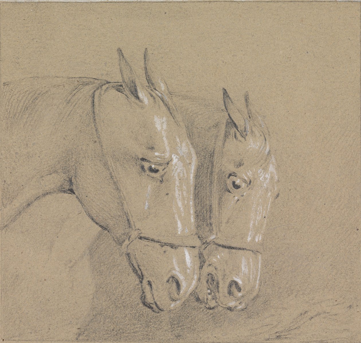 Cabeças e pescoços de dois cavalos com freios, perfis direitos de Henry Thomas Alken