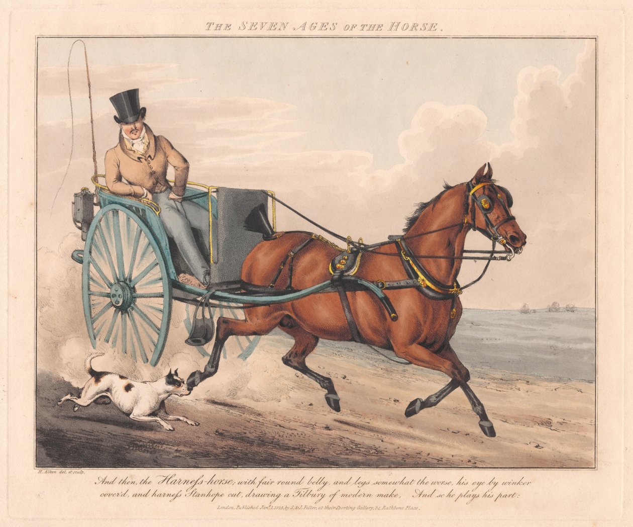 Conjunto de sete: As Sete Idades do Cavalo de Henry Thomas Alken