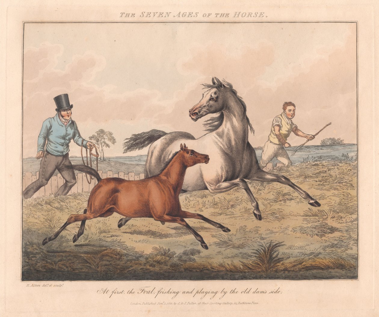 Conjunto de sete: As sete idades do cavalo de Henry Thomas Alken