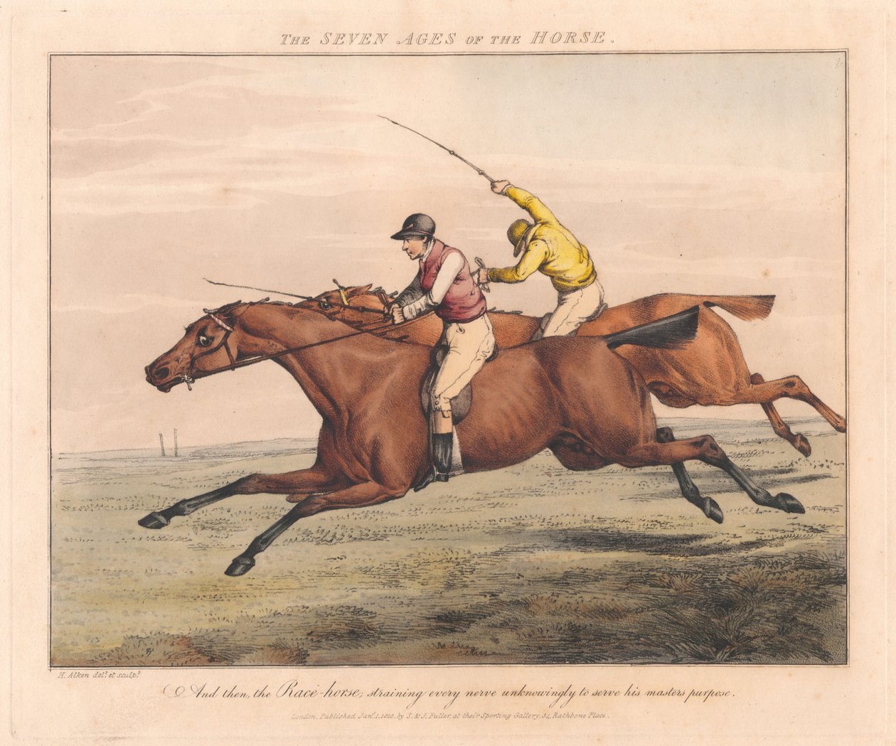 Conjunto de sete: As sete idades do cavalo de Henry Thomas Alken