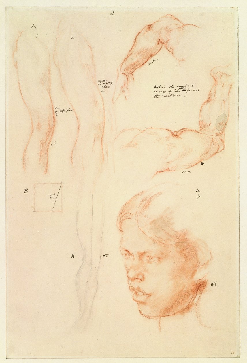 Demonstração anotada: desenhos e um estudo da cabeça de uma menina (lápis e giz sobre papel) de Henry Tonks