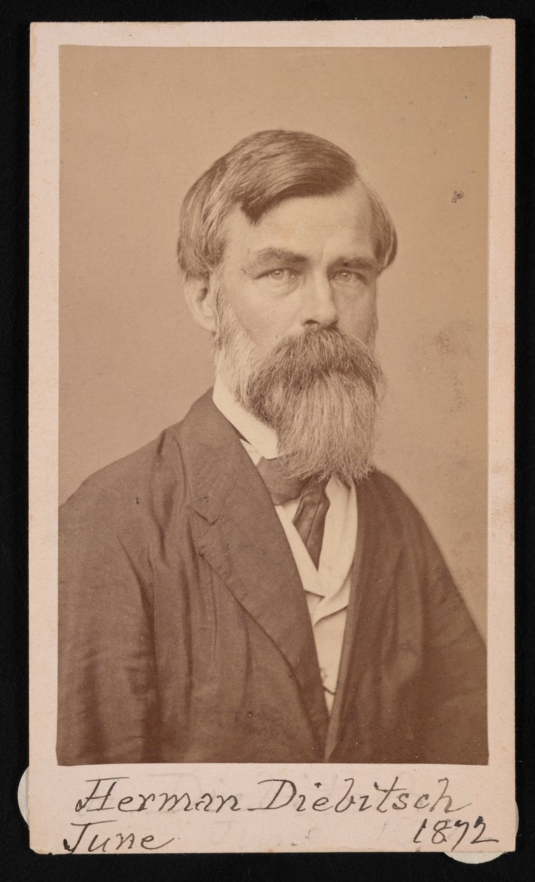 Retrato de Herman Henry Diebitsch 1818-1883, 1871. de Henry Ulke