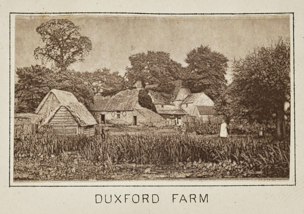 Quinta de Duxford de Henry W. Taunt