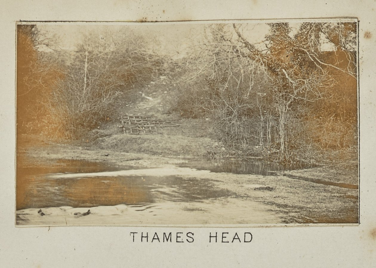 Cabeça do Tamisa de Henry W. Taunt