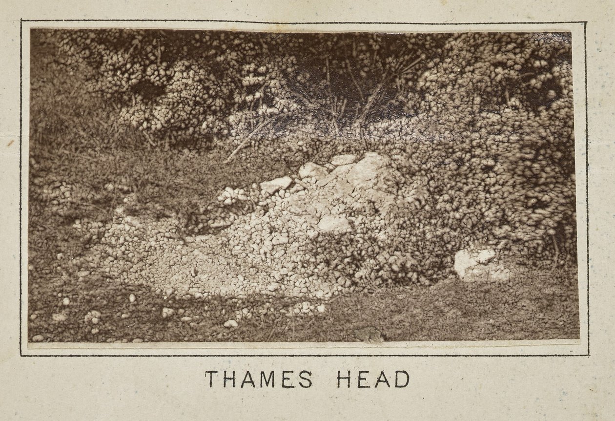 Cabeça do Tamisa de Henry W. Taunt