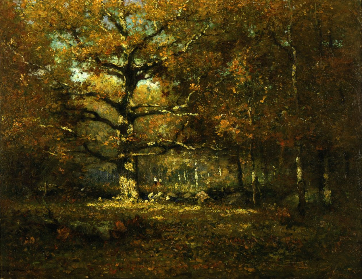 Bosques de Connecticut de Henry Ward Ranger