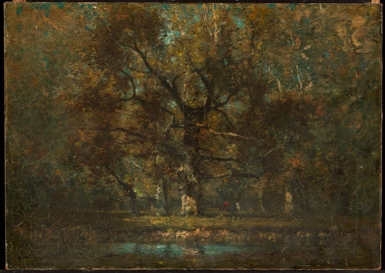 Carvalho de Henry Ward Ranger
