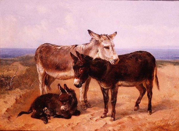 Rabos de Areia de Henry Weekes