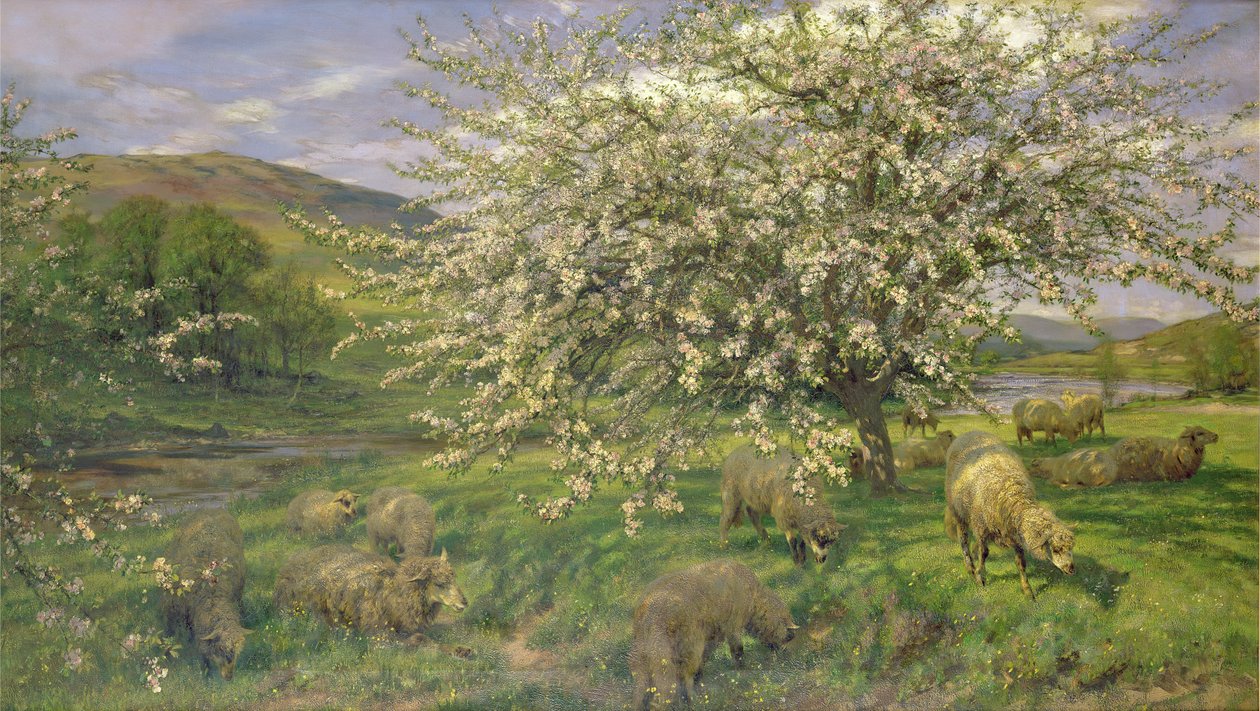 Imagem desconhecida de Henry William Banks Davis