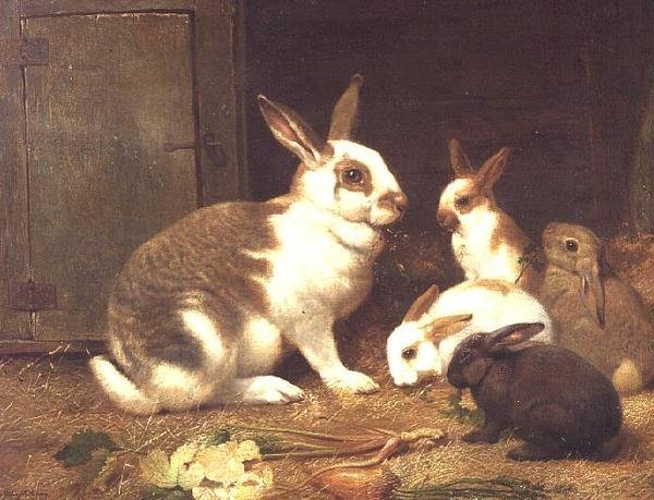 Alimentação de coelhos de Henry William Carter