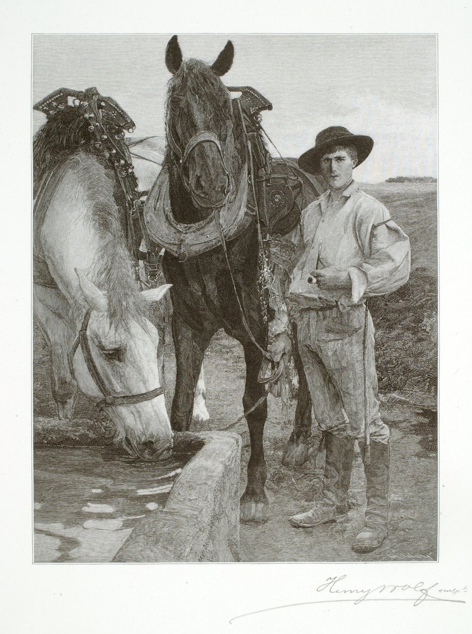 Cavalos no bebedouro de Henry Wolf