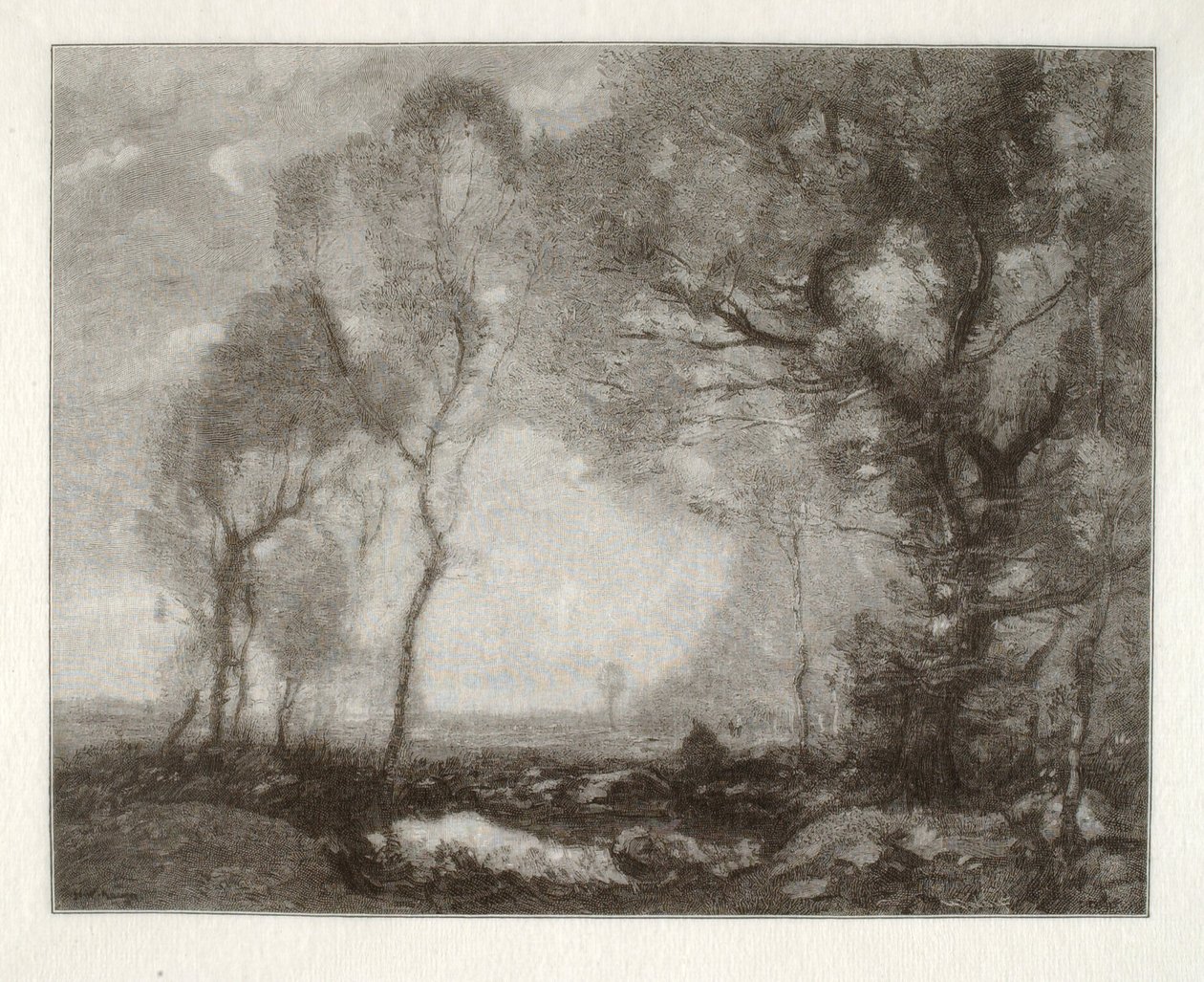 Paisagem de Henry Wolf