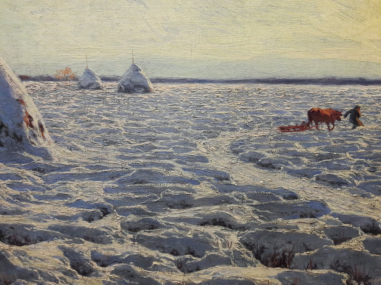 Pântanos lituanos sob a neve de Henryk Weyssenhoff