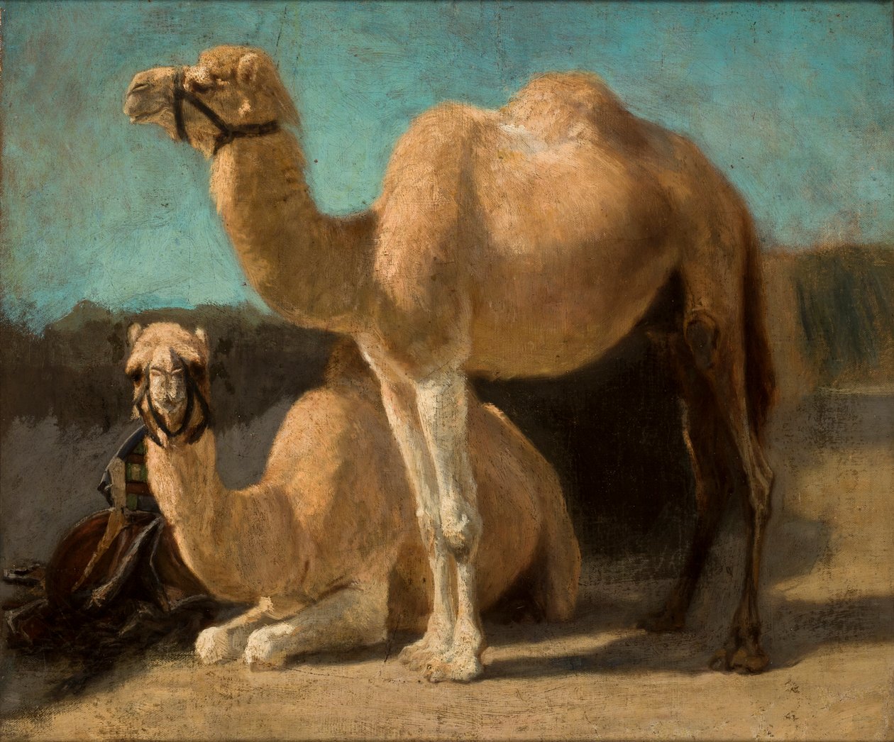 Dois Camelos de Henryk Hipolit Rodakowski