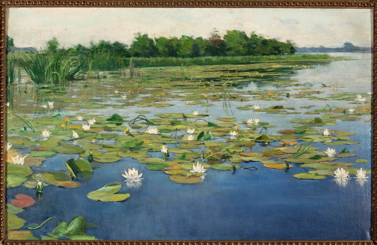 Nenúfares de Henryk Weyssenhoff