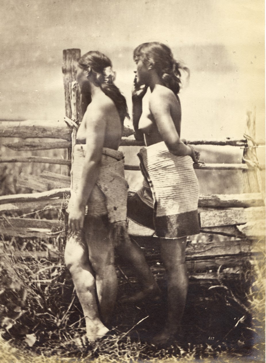 Maori Study, c.1870 (impressão em albume) de Herbert Deveril