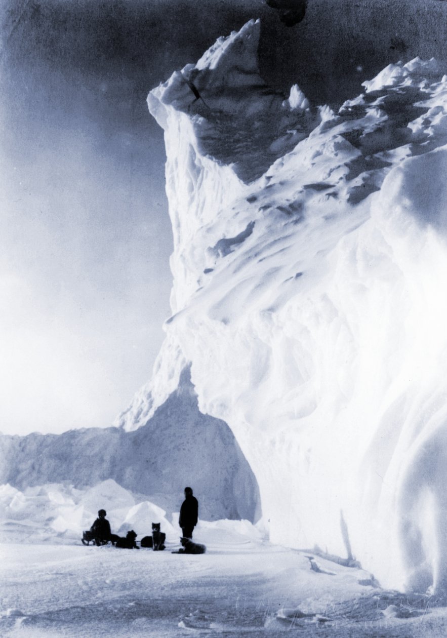 Equipe de cães descansando durante a Expedição Terra Nova, 1910 de Herbert Ponting