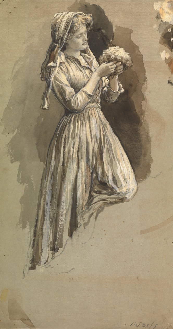 Menina com Posy (caneta e tinta no papel) de Herbert Thomas Dicksee