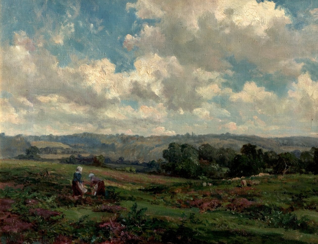 Campos em Surrey, 1890 de Herbert Hughes Stanton